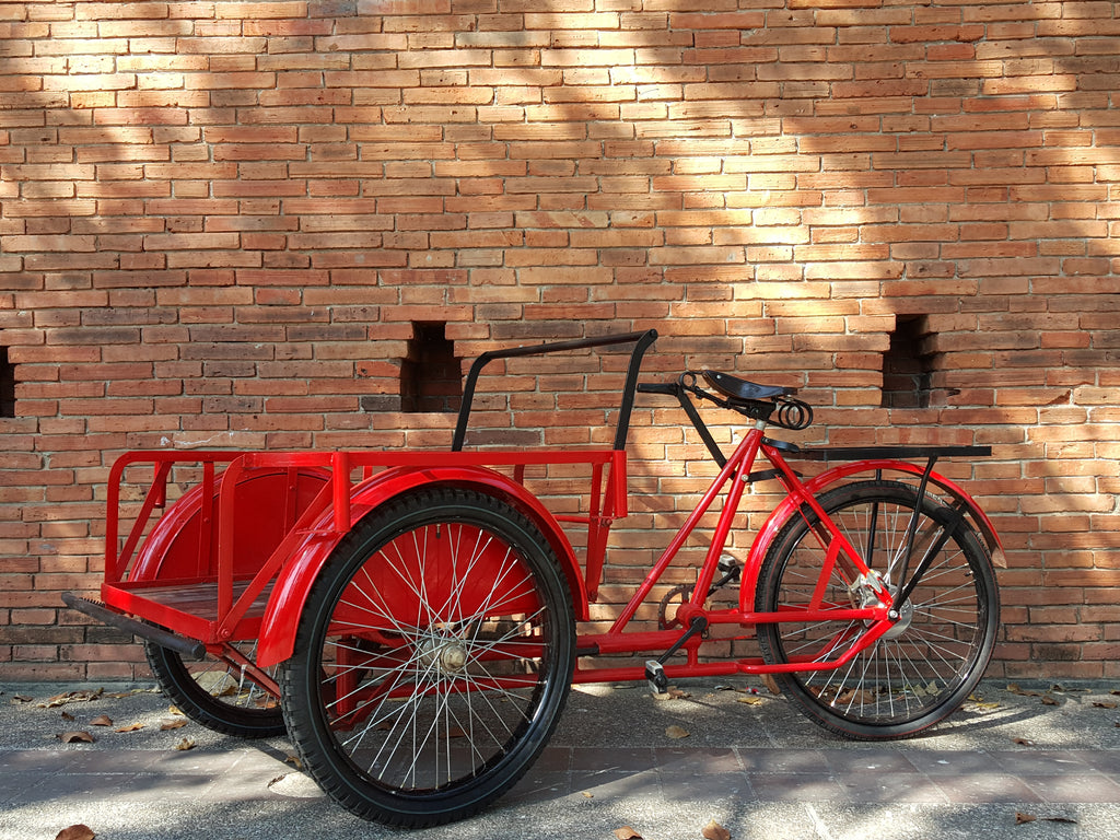 Chiang Mai Flower Festival & restoring an old bike